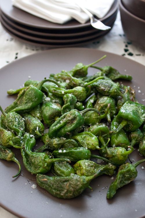 the fried green chilies Spanish tapas