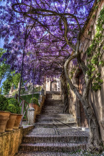 Generalife garden, Granada Spain
