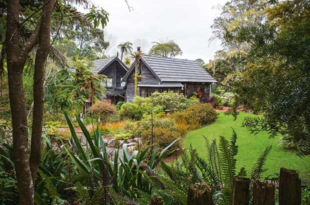 Calm atmosphere in Te Kainga Marire Garden