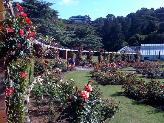 Capital of Wellington Botanic Gardens
