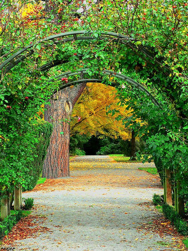 Christchurch Botanic Garden Gate