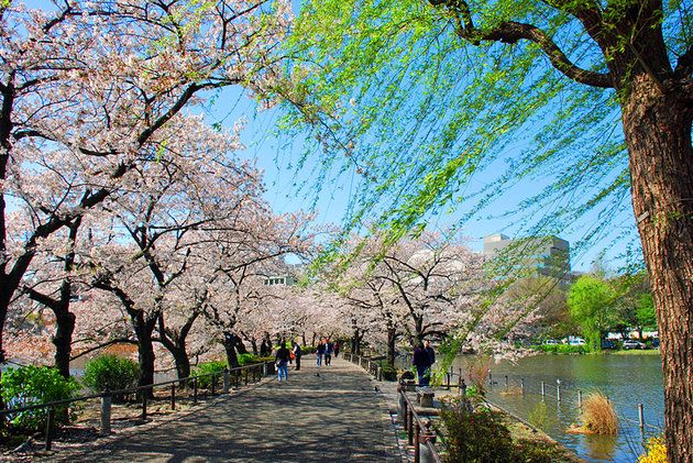 Enjoy nature Ueno Park