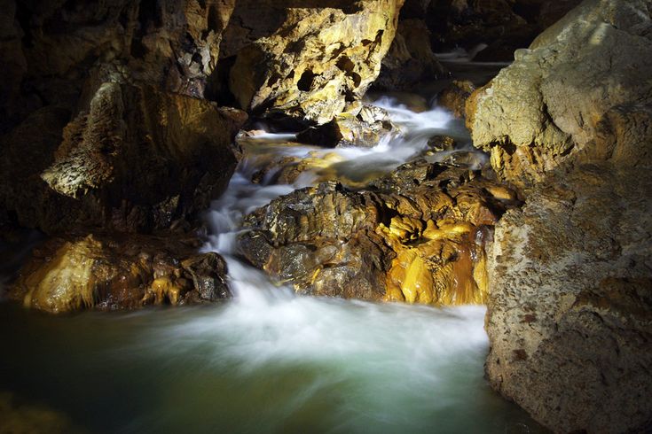 Explore the depths of Akiyoshido Cave