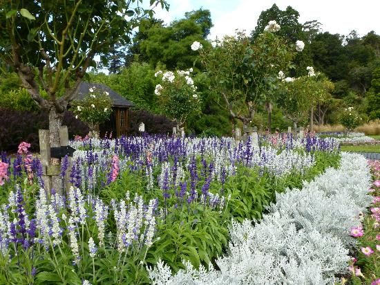 The impression of the Dunedin Botanic Garden