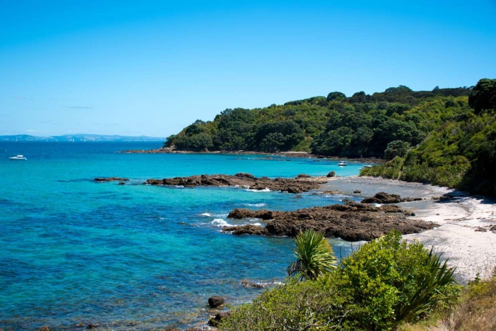 Tiritiri Matangi Island