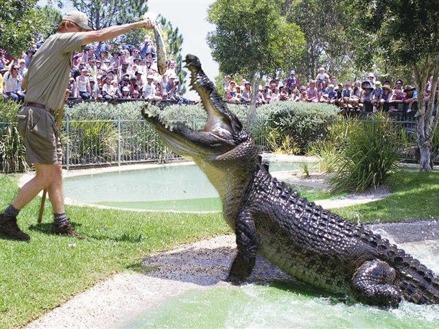 Australian Reptile Park