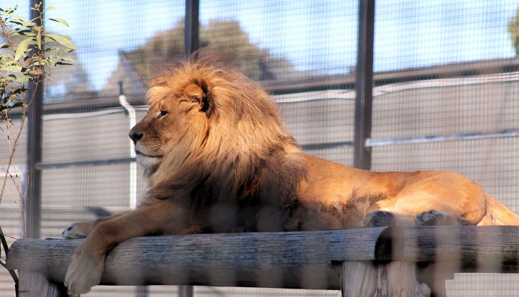 Hunter Valley Zoo