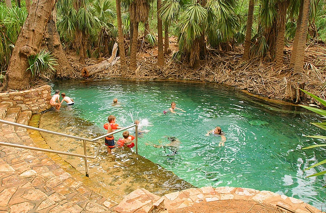 Mataranka Thermal Pool