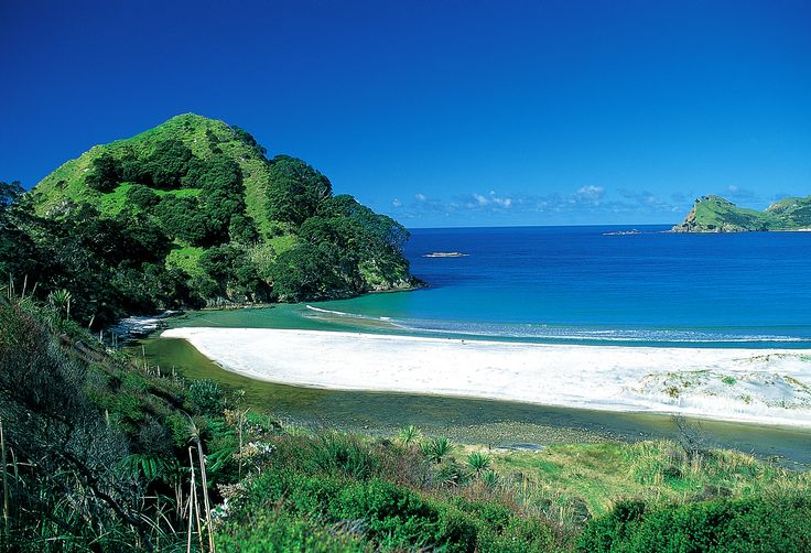 Medlands Beach, Great Barrier