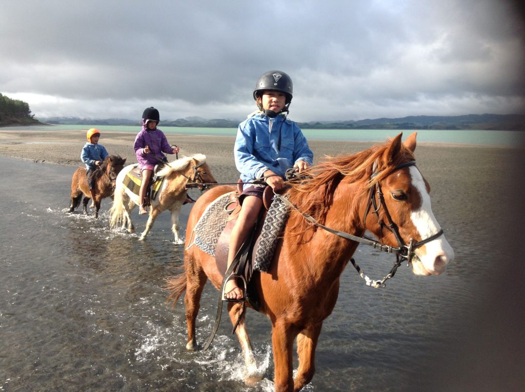 Stroll along the pleasant seaside with Horseback Riding