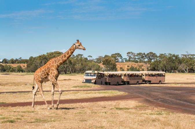 Werribee Open Range Zoo