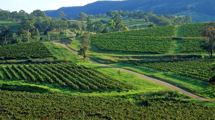 Hunter Valley, New South Wales