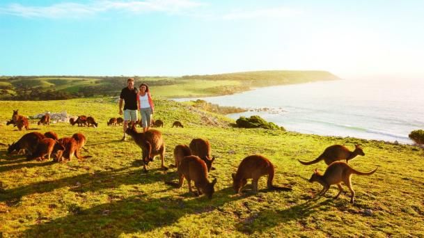 Kangaroo Island, South Australia