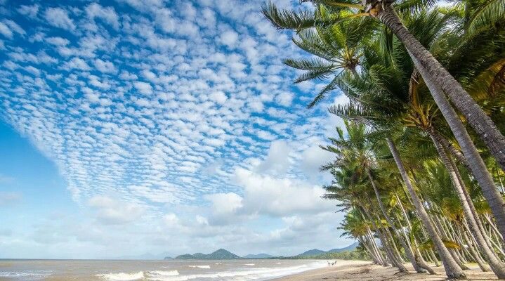 Palm Cove, Queensland