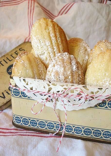 Madeleine Shape Clams