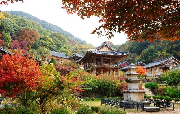 12 Amazing Cultural Places in South Korea for Your Culture Experience