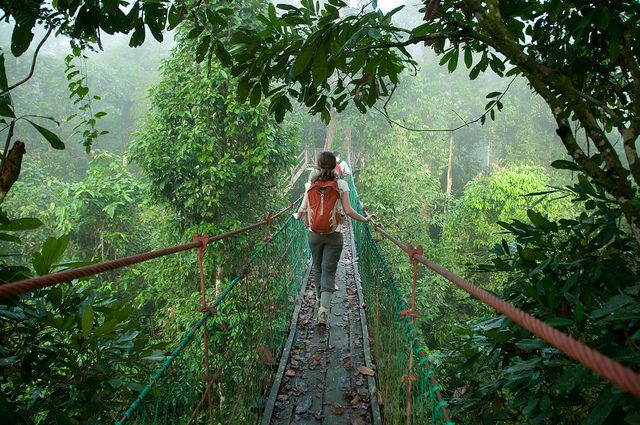 Danum Valley