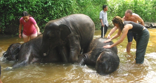 Kuala Gandah Elephant Sanctuary