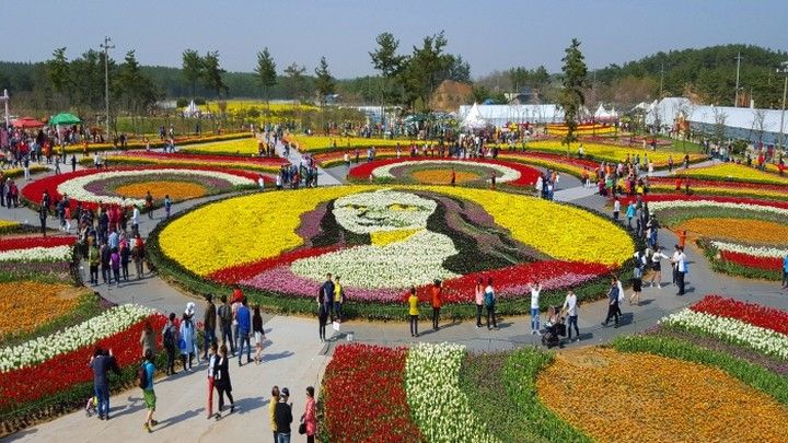 Taean Tulips Park