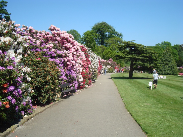 Temple Newsam