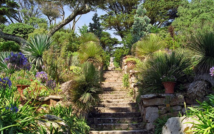 Tresco Abbey Gardens