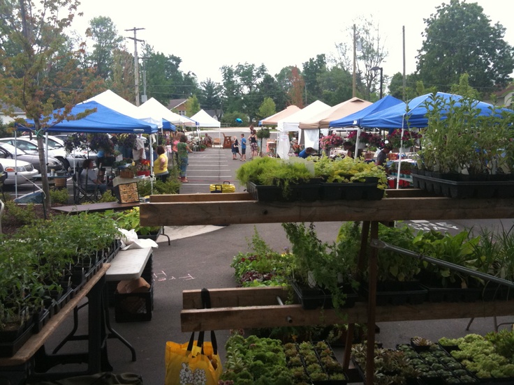 Dundee Farmers Markets