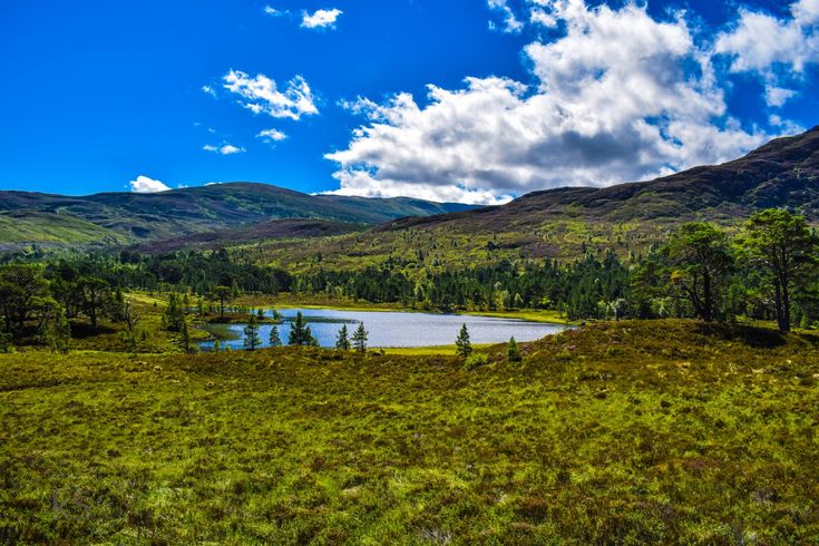 Glen Affric